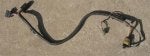 Reptile Scaled reptile Snake Colubridae Wire